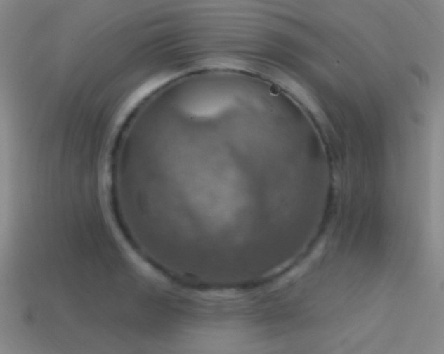X0000114421133200910161222