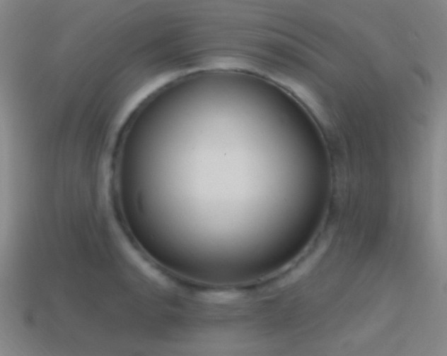 X0000114421134200910161222