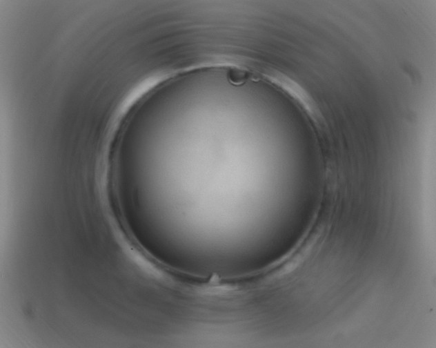 X0000114421135200910161222