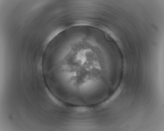 X0000114421137200910161222