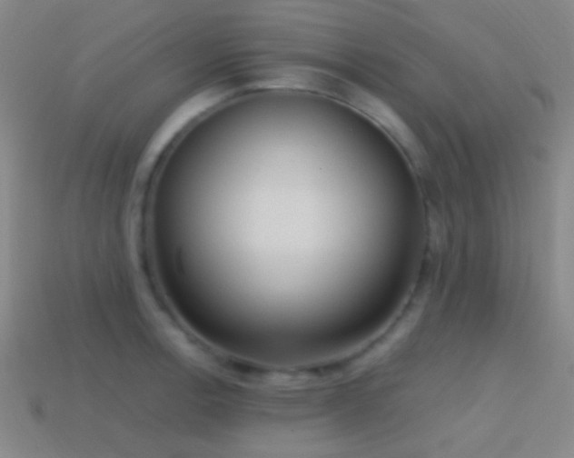 X0000114421138200910161222