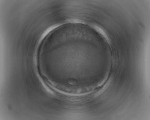 X0000114421141200910161222