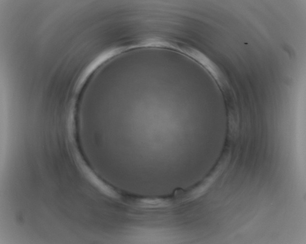 X0000114421142200910161222