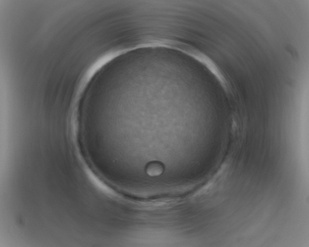 X0000114421143200910161222