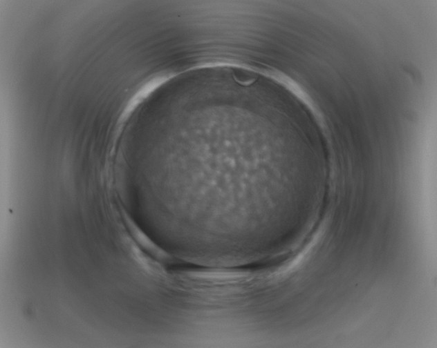 X0000114421145200910161223