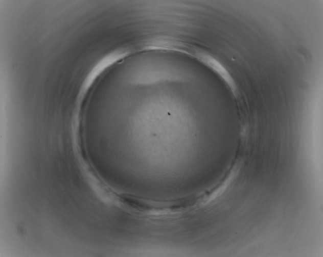 X0000114421146200910161223