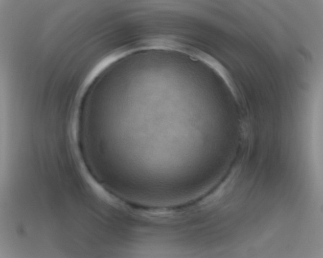 X0000114421147200910161223