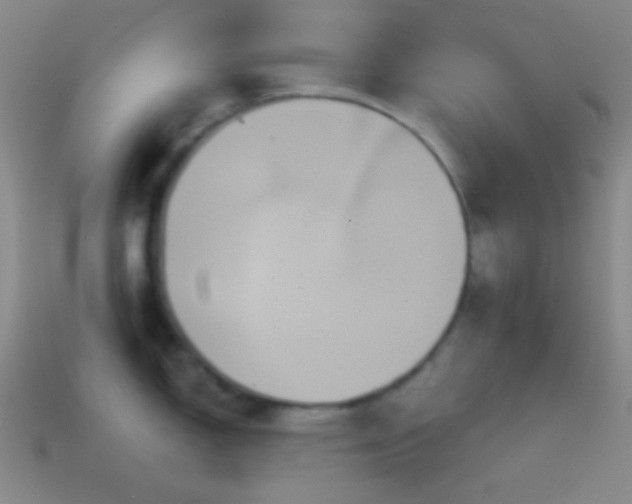 X0000114421150200910161223