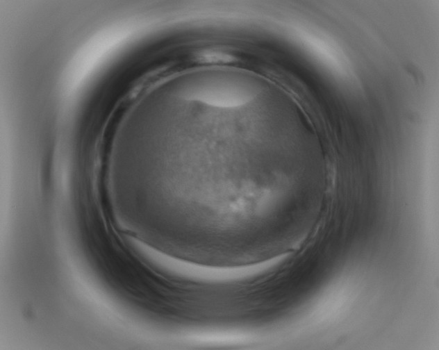 X0000114421151200910161223