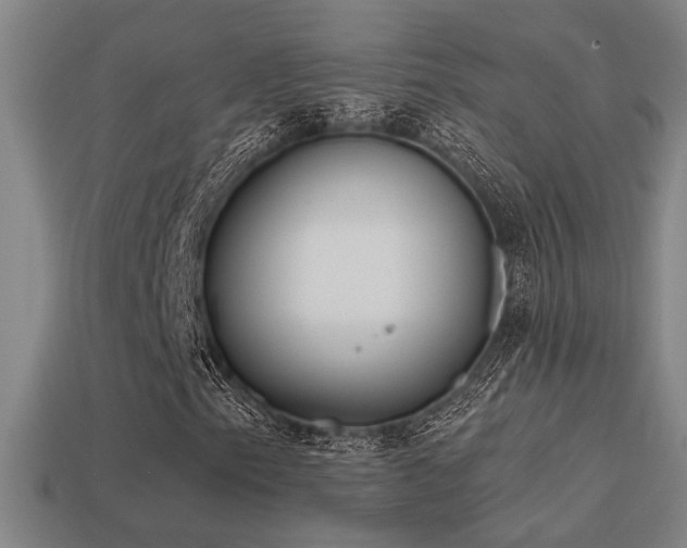 X0000114421153200910161222