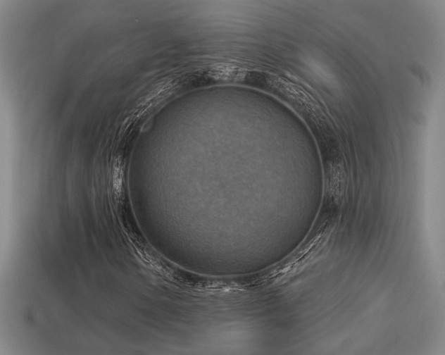 X0000114421154200910161222