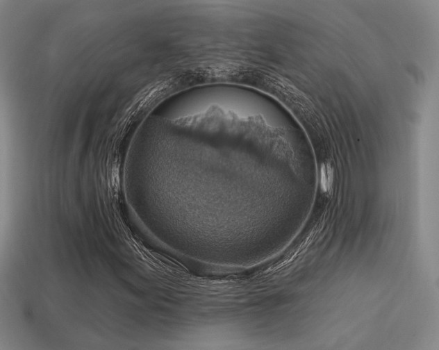 X0000114421155200910161222