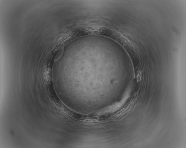 X0000114421156200910161222