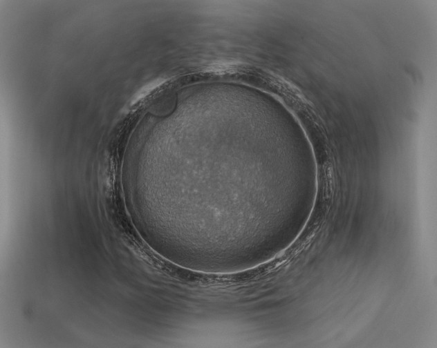 X0000114421158200910161222