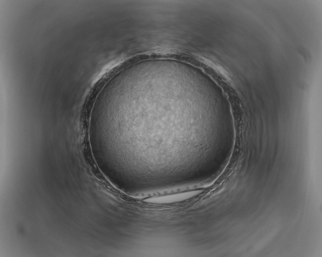 X0000114421160200910161222