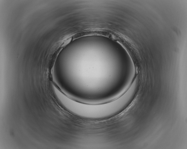 X0000114421161200910161222