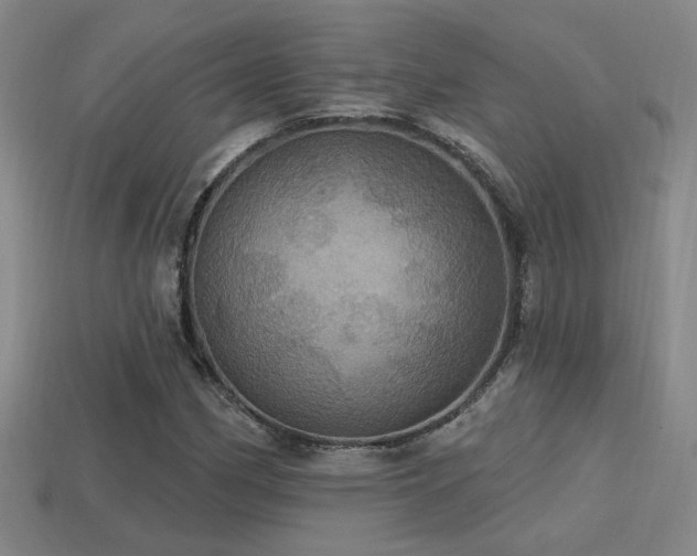 X0000114421162200910161222