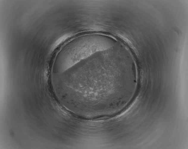 X0000114421163200910161222