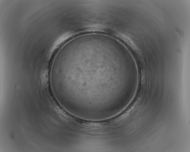 X0000114421164200910161222