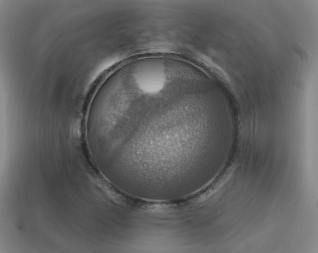 X0000114421166200910161222