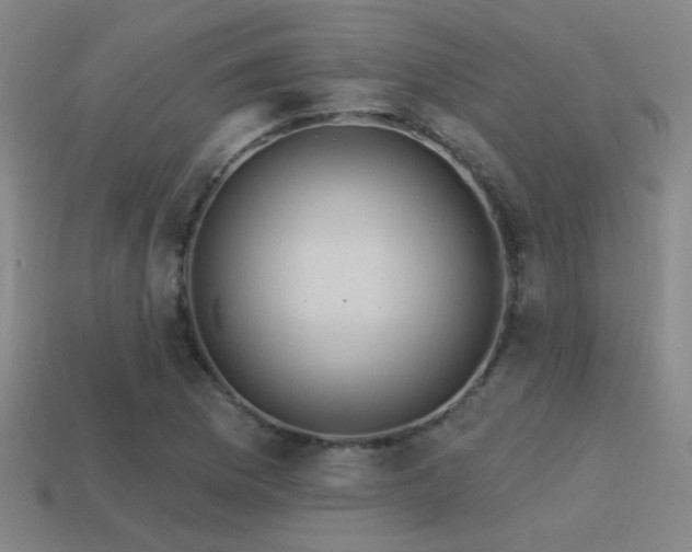 X0000114421169200910161222