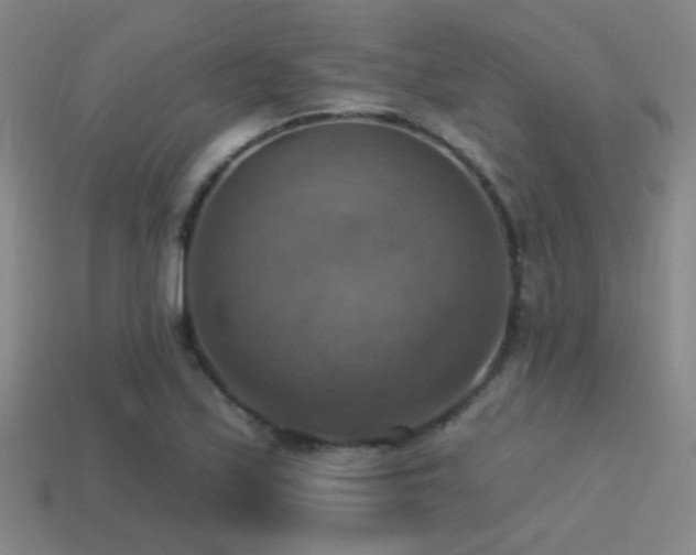 X0000114421171200910161222