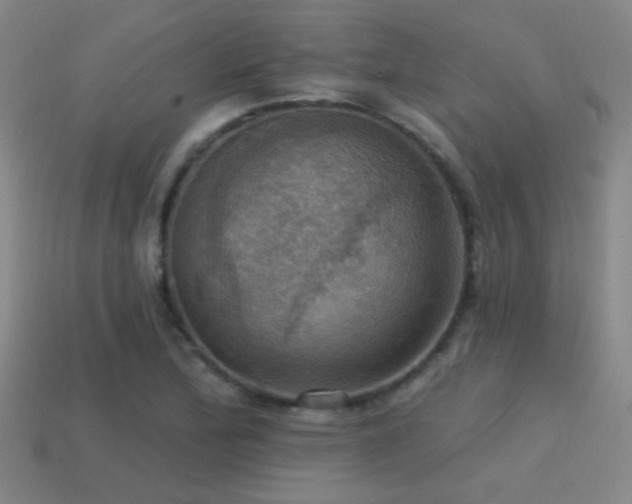X0000114421172200910161222