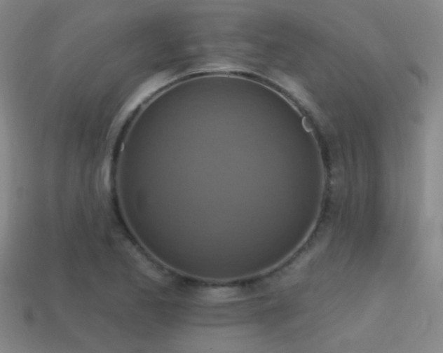 X0000114421173200910161222