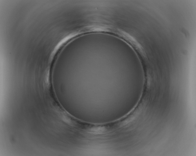X0000114421174200910161222