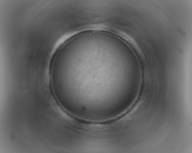 X0000114421176200910161222