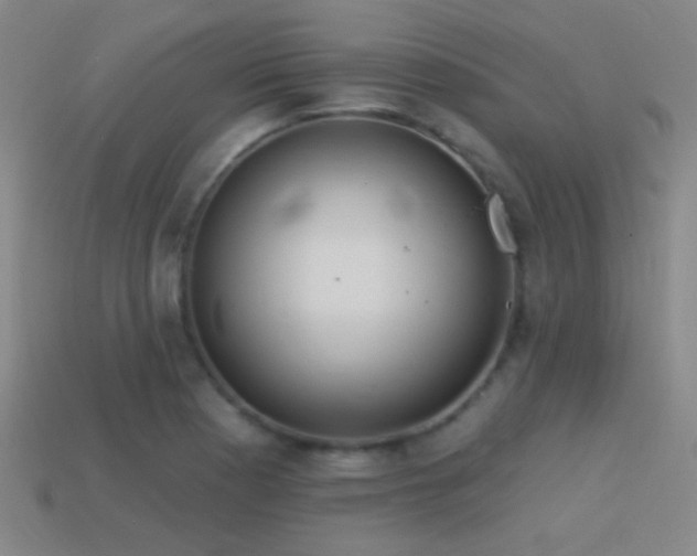 X0000114421177200910161222