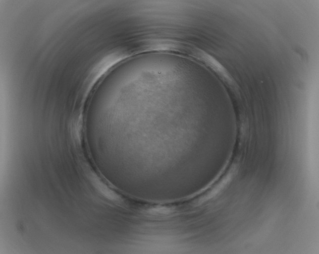 X0000114421178200910161222