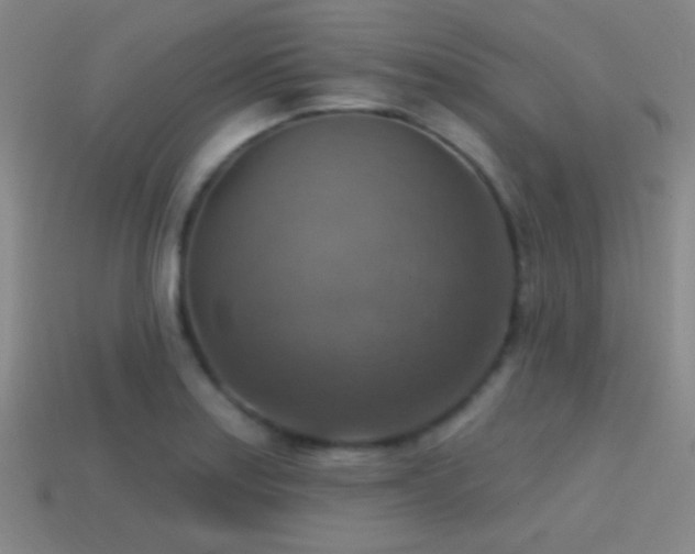 X0000114421179200910161221