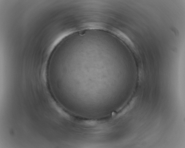 X0000114421182200910161221