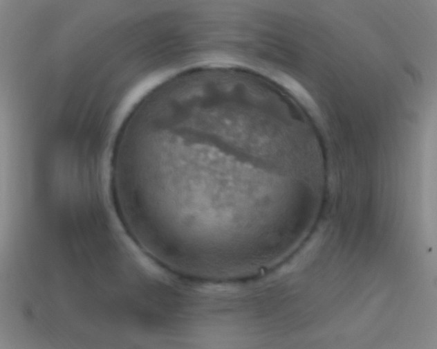 X0000114421183200910161221