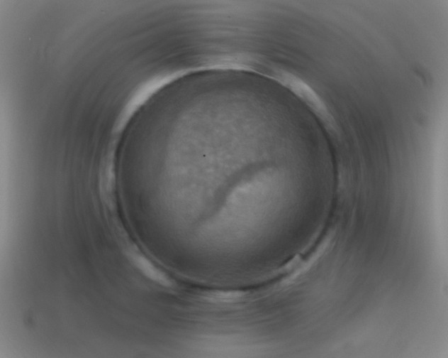X0000114421184200910161221