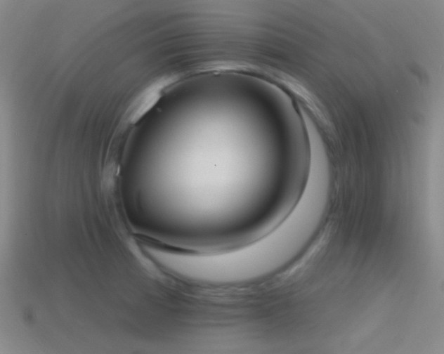 X0000114421185200910161221