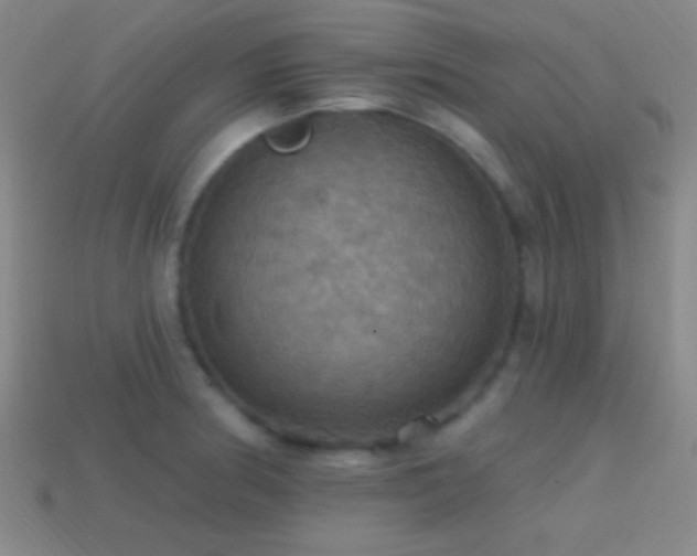 X0000114421186200910161221