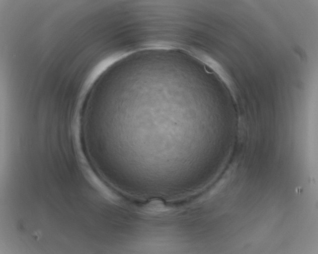 X0000114421187200910161221
