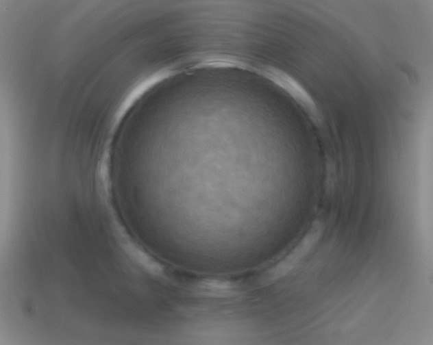 X0000114421190200910161221