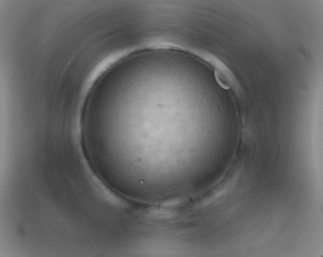 X0000114421191200910161221