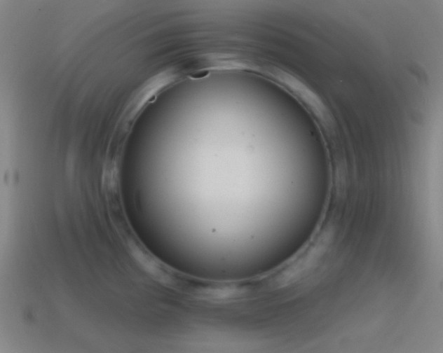 X0000114421193200910161221
