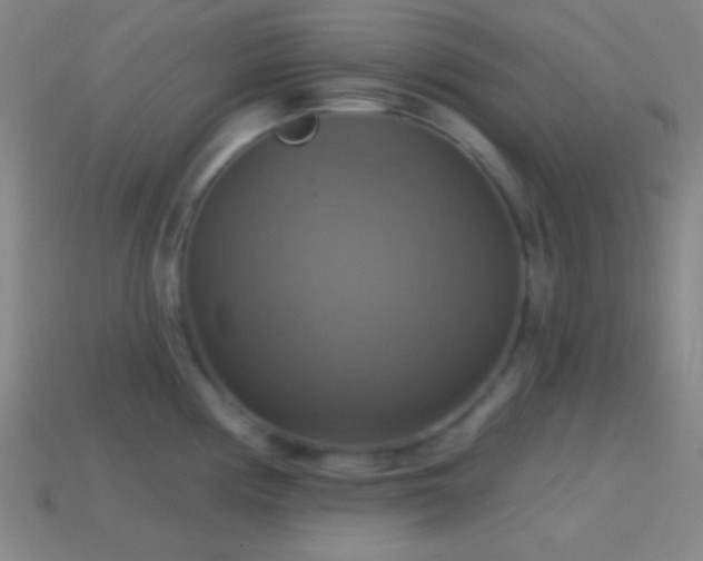 X0000114421194200910161221