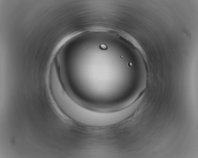 X0000114421195200910161221