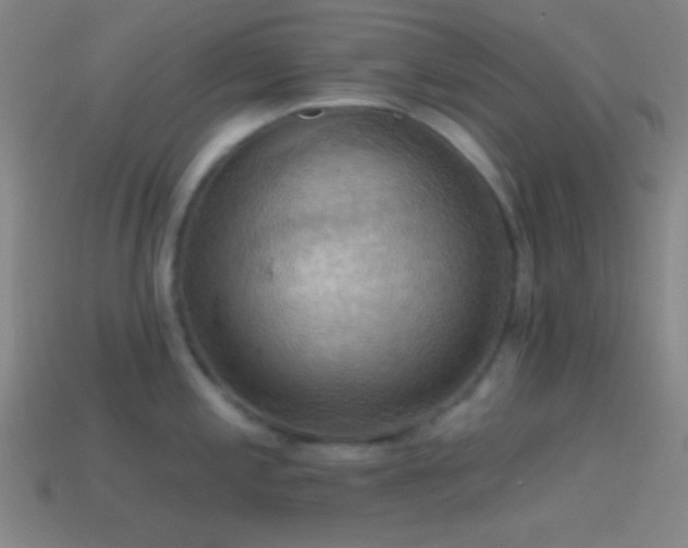 X0000114421197200910161221