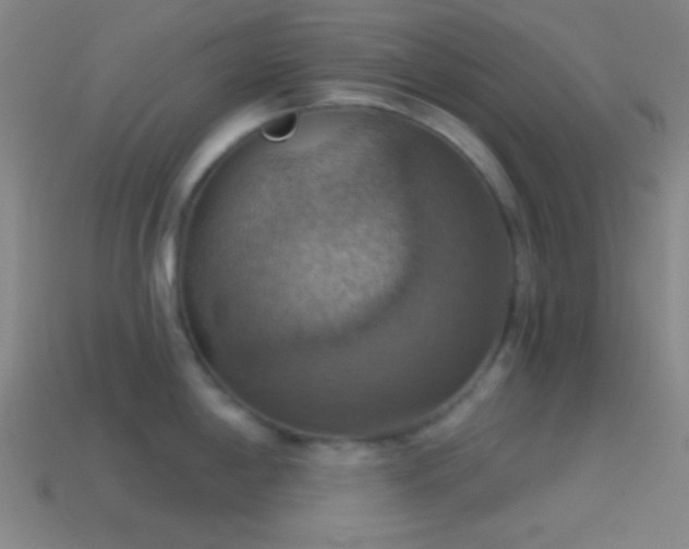 X0000114421198200910161221