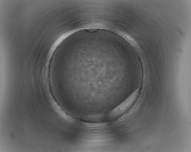 X0000114421200200910161221