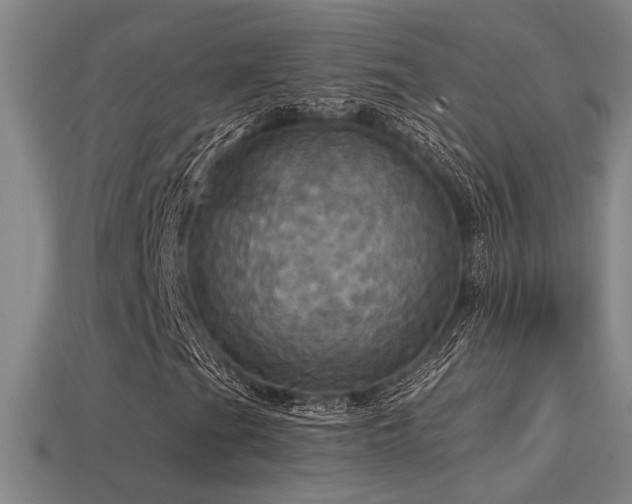 X0000114421201200910161221