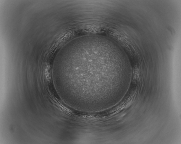X0000114421202200910161221
