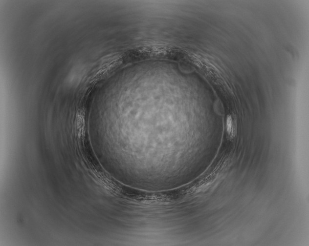 X0000114421203200910161221